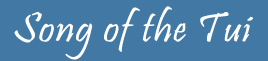 Song of the Tui